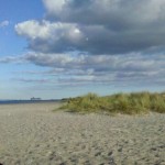 Amager Strandparken Amager Strandparken